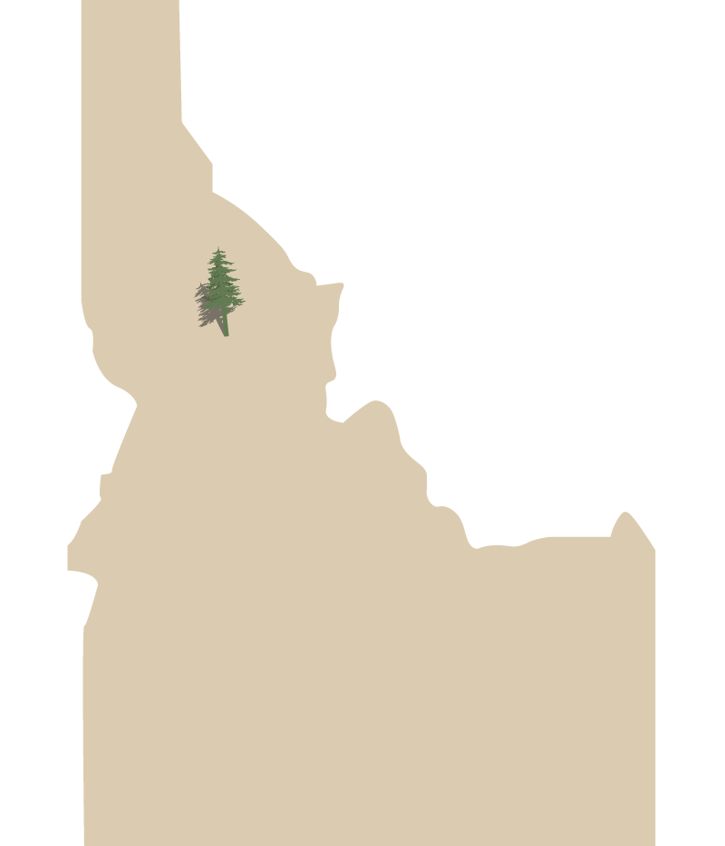 vectored image of Idaho